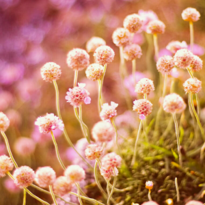 Photography for Technology Startups