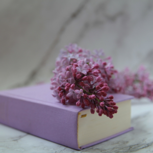 PristinePixel Studio